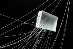 ENTANGLED Achim Ripperger