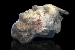 AUS DER NATUR Achim Ripperger